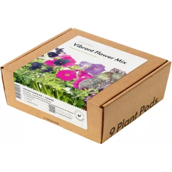 Click & Grow Vibrant Flower Mix kapsule za pametni vrt, 9 kosov (PPMVBX9)