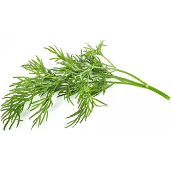 Click & Grow SGR49x3 kapsule koper, polnilo, 3 kosi