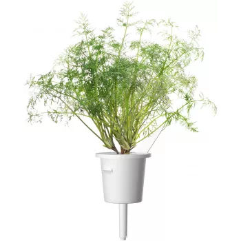 Click & Grow SGR49x3 kapsule koper, polnilo, 3 kosi