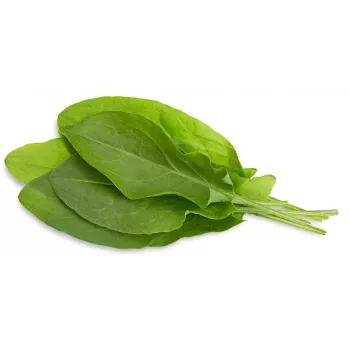Click & Grow kapsule zelena kislica za pametni vrt, 3 kosi (SGR55X3)