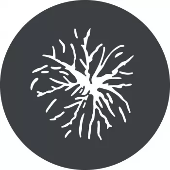 Godox GP GS2 komplet gobo vzorcev za projekcijski nastavek GP (6 vzorcev)