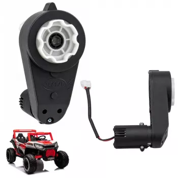 LEAN TOYS električni motor RPM-15000 24V za otroško električno vozilo NLE-913