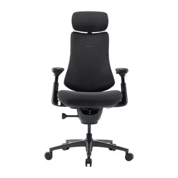 LiberNovo Omni Pro 48 cm ergonomski stol (grafit)
