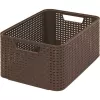 Curver Style Box M 38,6 x 28,7 x 17 cm temno rjava škatla za shranjevanje s pokrovom