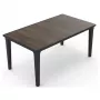 Vrtna jedilna miza Keter Futura Deco, grafit/oreh, 29216482533