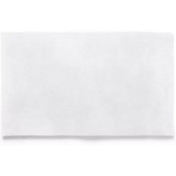 RAYEN filter za napo 45x54cm