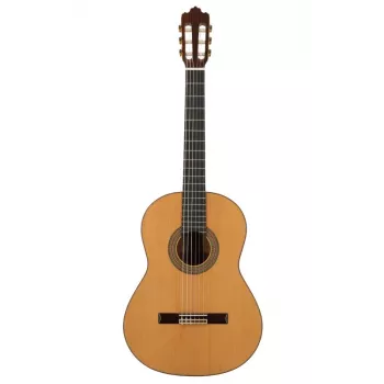 Prodipe Guitars Soloist 900 4/4 - klasična kitara