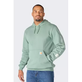 Carhartt Iconic K288 pulover s kapuco in logotipom GREEN SLATE