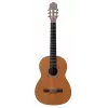 Prodipe Guitars Primera 4/4 EQ - elektroakustična koncertna kitara