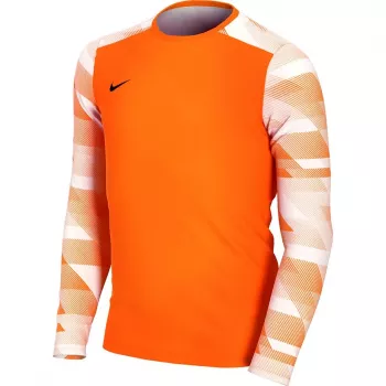 Nike Dry Park IV JSY LS GK Junior vratarska majica oranžna CJ6072 819 L