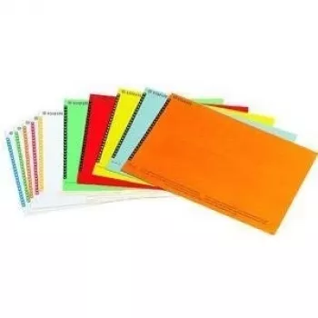 LEITZ Esselte nalepke za viseče registre za omare, bele, 60 x 12 mm, 100 nalepk (326400)