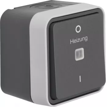 Hager WNC015 2-polno nadometno kontrolno stikalo s kontrolno lučko, siva