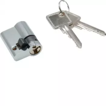 Hager profilni polcilinder ZAY50994 z 2 ključema 40x20x40