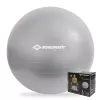 SCHILDKROT gimnastična žoga 65 cm srebrna Anti-Burst 960156