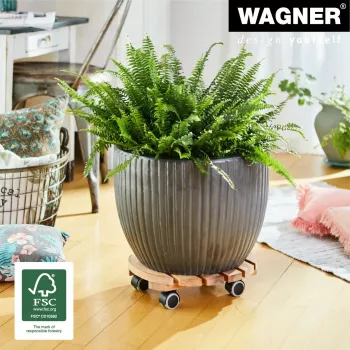 WAGNER Multiroller ERLE soft okrogel Ø34cm voziček za rože, masivna jelša, 100 kg, 3 vrtljivi kolesci, zaščita tal 20026201