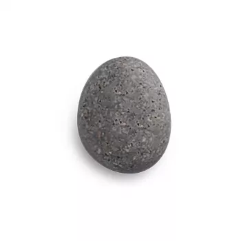 Zeller 6 kamniti magneti sivi 2,1 x 1,8 x 1,0 cm (11219)