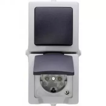 HEINRICH KOPP Nautic siva kombinirano stikalo in vtičnica z zložljivim pokrovom, IP44, 250 V, 16 A 138556008