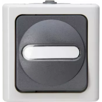 HEINRICH KOPP univerzalno stikalo BLUE ELECTRIC siva nadometna za vlažne prostore 10A, 250V (560656006)