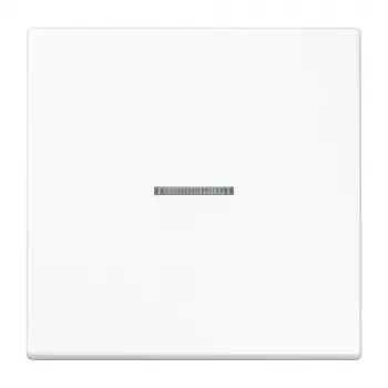 Jung KNX RF tipkalo 1-kratno duroplast serija LS alpsko bela LS10911STRFWW