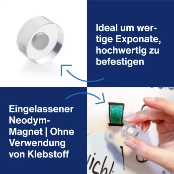 MAGNETOPLAN HOLTZ magnetoplan dizajnerski magneti, 25 mm, paket 6 kosov neodimijevi magneti s prozornim akrilnim ročajem, polirani (1680025)