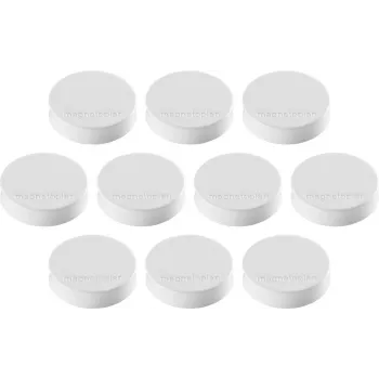 Magnetoplan Ergo-Magnete Medium bel feritni magnet, 30 mm, 1 kos 1664000