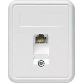 TELEGÄRTNER nadometna vtičnica RJ45 1xRJ45 neoklopljena, Cat. 5e (A0174)