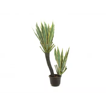 EUROPALMS umetna rastlina orhidejski kaktus, 160cm 82809035