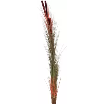 EUROPALMS umetno trstje s storži, svetlo rjavo, 152cm 82505856