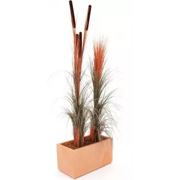 EUROPALMS umetno trstje s storži, svetlo rjavo, 152cm 82505856