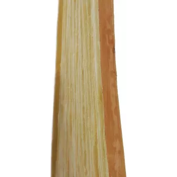 EUROPALMS bambusova stenska plošča 100x100cm, naravna okrasna plošča 83313220