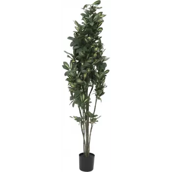 EUROPALMS shefflera umetna rastlina, 120cm, zelena 82600157