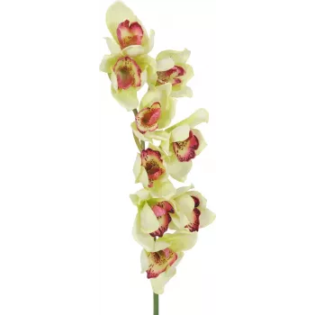 EUROPALMS umetna veja cymbidium orhideje, zelena, 90cm 82530313