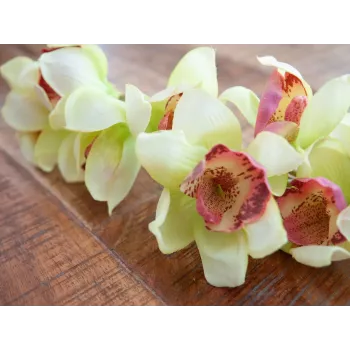 EUROPALMS umetna veja cymbidium orhideje, zelena, 90cm 82530313