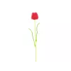 EUROPALMS kristalni tulipan umetni tulipan, rdeč, 61cm, paket 12 kosov 82600205