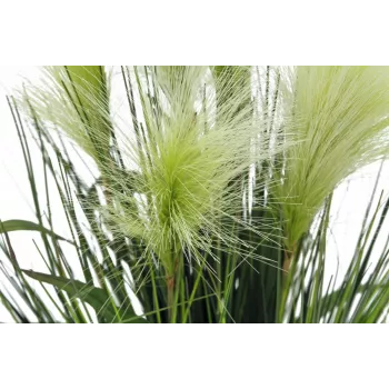 EUROPALMS peresna trava umetna rastlina, bela, 60cm 82505864