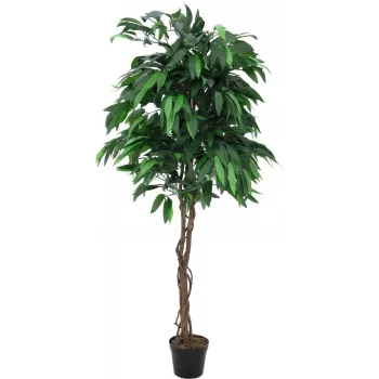 EUROPALMS umetno mango drevo iz džungle, 180 cm 82506726
