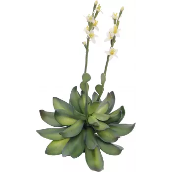 EUROPALMS Stone Rose (EVA) umetna rastlina, rumena, 32cm 82530573