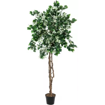 EUROPALMS bougainvillea umetna rastlina, bela, 180 cm 82507086