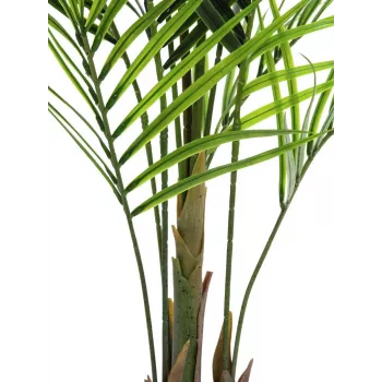 EUROPALMS velikolistna areka umetna rastlina, 165cm 82509441