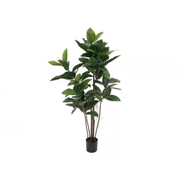 EUROPALMS gumijevka umetna rastlina, 120cm 82600150