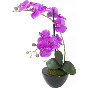 EUROPALMS umetna orhideja aranžma 4, bele phalaenopsis v keramičnem loncu, 60 cm 82530349