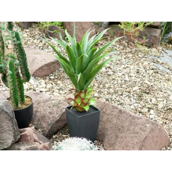 EUROPALMS agava v loncu, umetna rastlina, 75cm 82600160