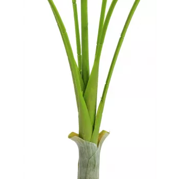 EUROPALMS areka deluxe umetna rastlina, 180cm 82509443
