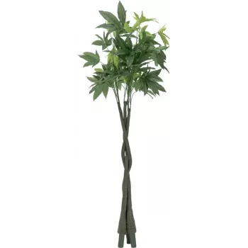 EUROPALMS umetno drevo pachira (denarno drevo), 160cm 82600165