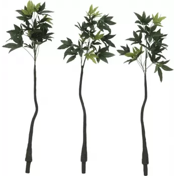 EUROPALMS umetno drevo pachira (denarno drevo), 160cm 82600165