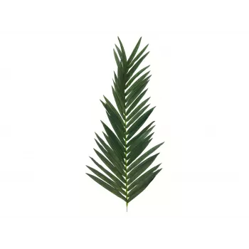 EUROPALMS umetni list kokosove palme, 150 cm 82509845