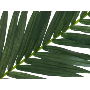 EUROPALMS umetni list kokosove palme, 150 cm 82509845