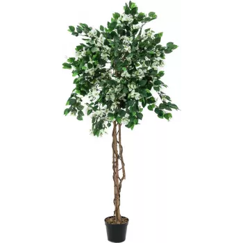 EUROPALMS umetna rastlina bougainvillea, bela, 150cm 82507085