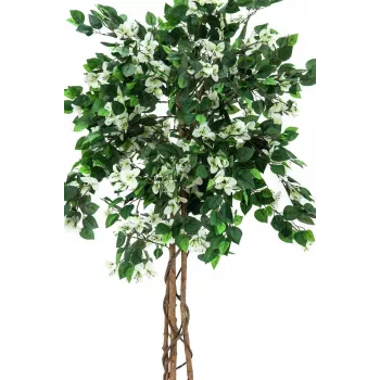 EUROPALMS umetna rastlina bougainvillea, bela, 150cm 82507085