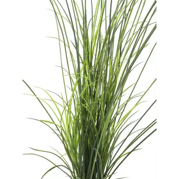 EUROPALMS umetno trstje, 145cm, zeleno-rjavo, v loncu 82600229